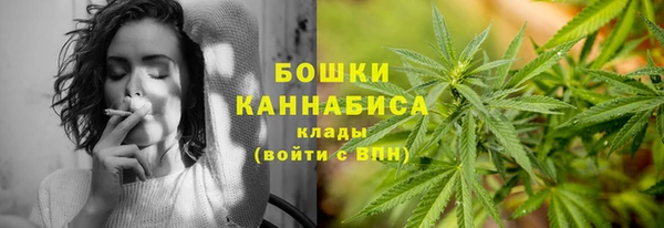 ПСИЛОЦИБИНОВЫЕ ГРИБЫ Абаза