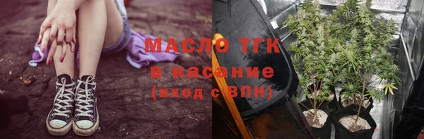 ПСИЛОЦИБИНОВЫЕ ГРИБЫ Абаза