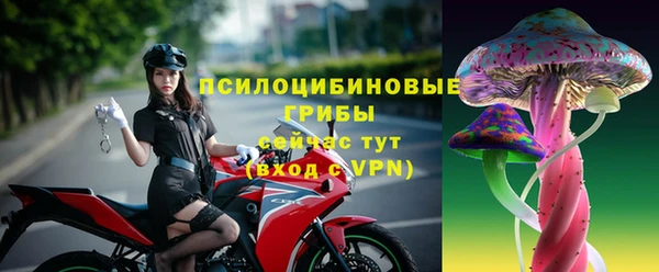 метадон Новодвинск
