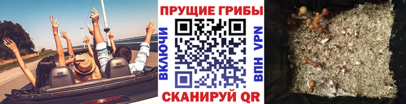 Псилоцибиновые грибы Magic Shrooms Ялуторовск